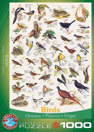 Vogels [Birds] - 1000 stukjes 48×68cm (b×h) - Legpuzzel de Eurographics, édition Multicolore – boîte 1 sur 2