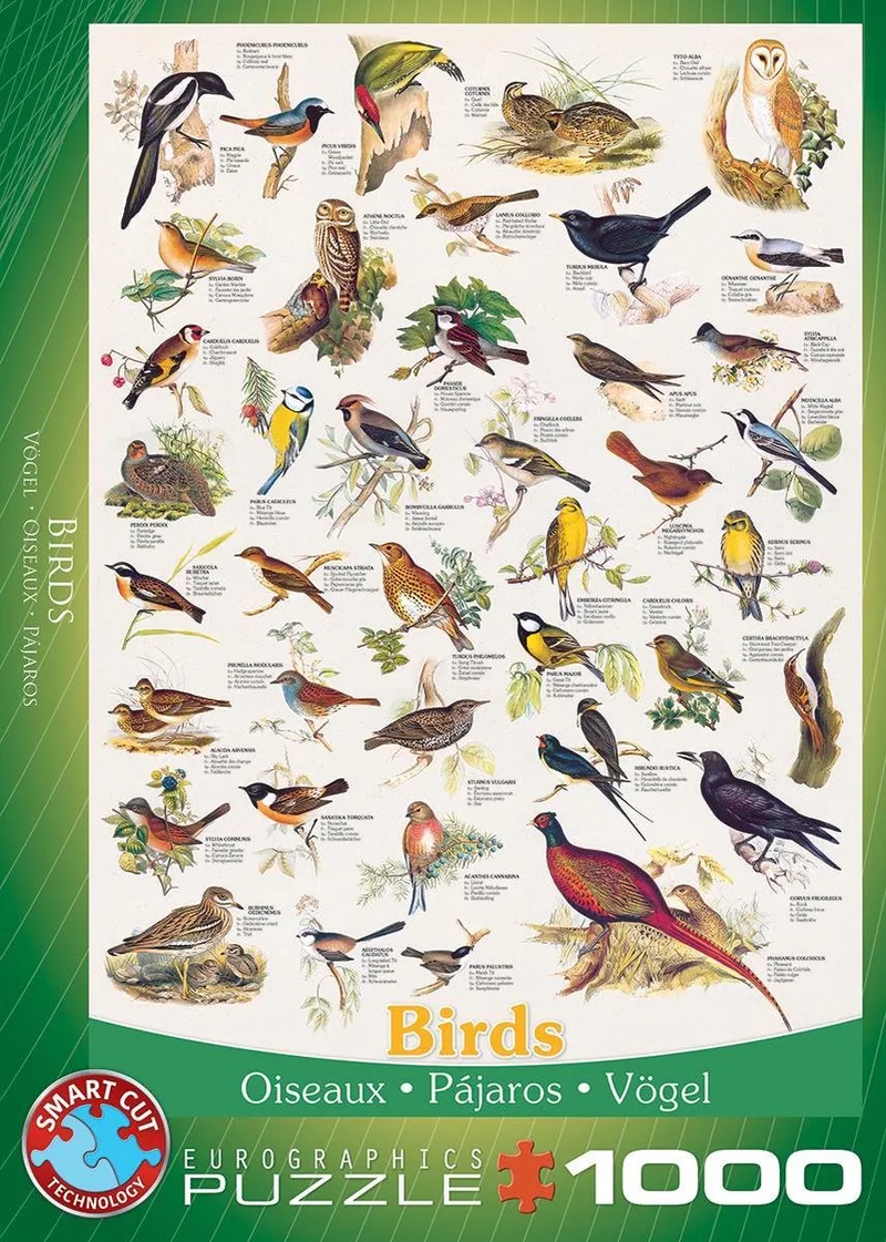 Vogels [Birds] - 1000 stukjes 48×68cm (b×h) - Legpuzzel de Eurographics, édition Multicolore – boîte 1 sur 2