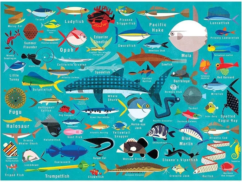 Puzzel 'Ocean Life' (1000 stukjes) de Galison, édition Bleu – boîte