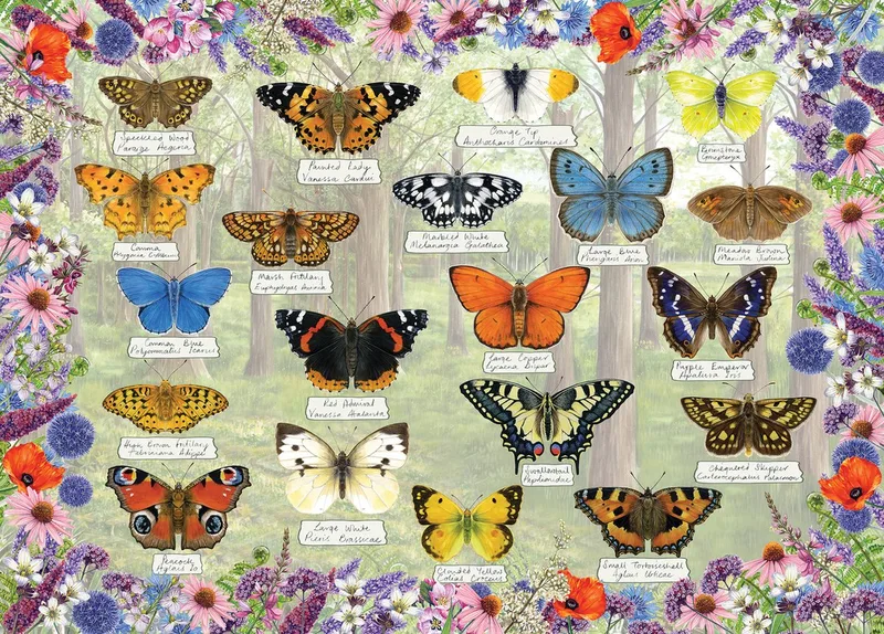 Beautiful Butterflies (door Fiona Osbaldstone) - 1000 stukjes 68×49cm (b×h) - Legpuzzel voor volwassenen from Gibsons, Multicolour edition – box