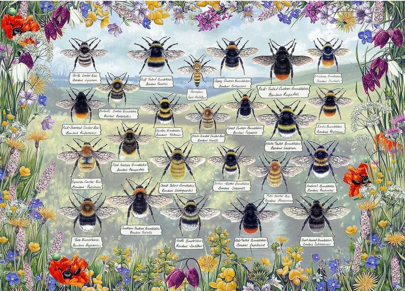 Brilliant Bees (door Fiona Osbaldstone) - 1000 stukjes 68×49cm (b×h) - Legpuzzel voor volwassenen van Gibsons, editie Meerkleurig – doos