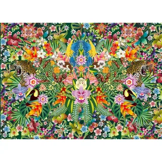 Puzzle Catalina Estrada - Rêve Indien - 1000 pièces fra Gibsons – æske 1 af 2