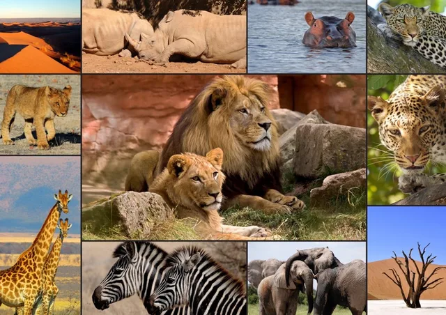puzzel Collage - Wildlife - 1500 stukjes legpuzzel.