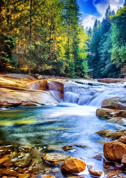 Puzzle Belle Cascade dans la Forêt - 2000 pièces de Grafika – boîte
