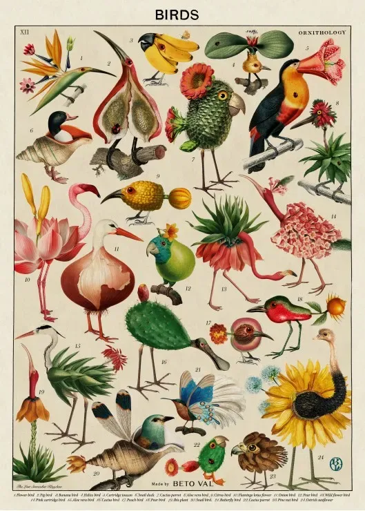 Puzzle Birds by Beto Val - 500 à 999 pièces de Grafika – boîte 1 sur 2