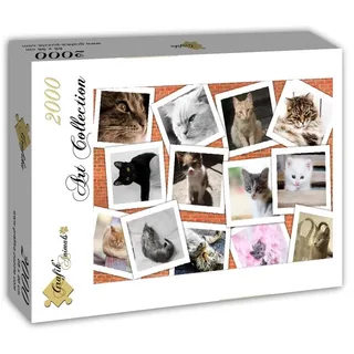 Puzzle Chats - 2000 pièces from Grafika – box 2 of 2