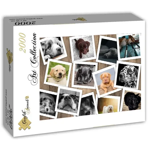 Puzzle Chiens - 2000 pièces van Grafika – doos 2 van 2