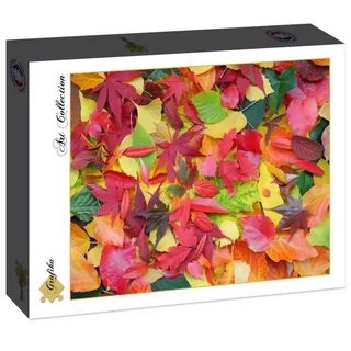 Puzzle Feuilles d'Automne - 2000 pièces de Grafika – boîte 2 sur 2