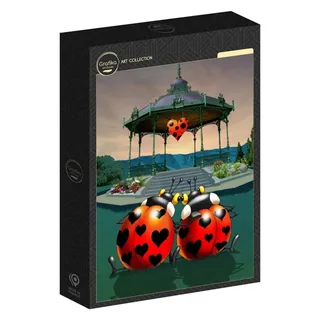 Puzzle François Ruyer - In Love - 500 à 999 pièces van Grafika – doos 2 van 2