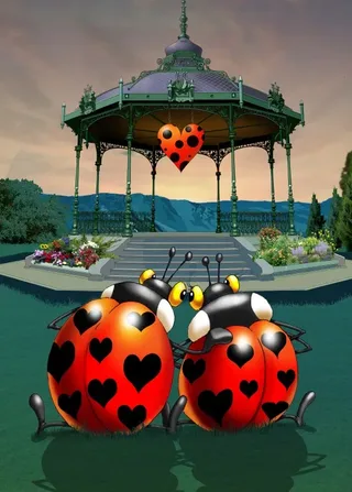 Puzzle François Ruyer - In Love - 500 à 999 pièces van Grafika – doos 1 van 2