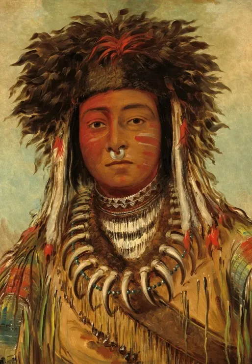 Puzzle George Catlin : Chef Indien - Ojibbeway, 1843 - 10 à 25 pièces de Grafika – boîte