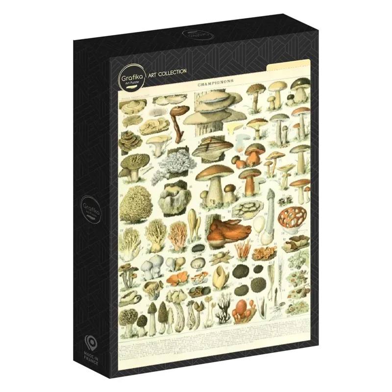 Puzzle Illustration du Larousse : Champignons, XIXè Siècle - 1000 pièces van Grafika – doos 2 van 2