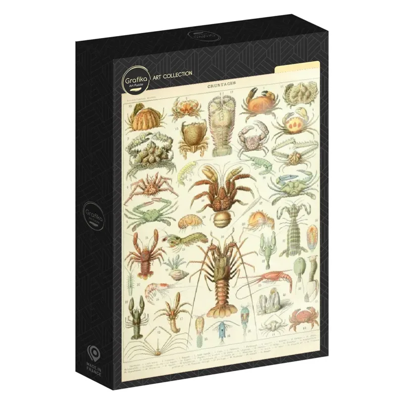 Puzzle Illustration du Larousse : Les Crustacés - 1000 pièces de Grafika – boîte 2 sur 2