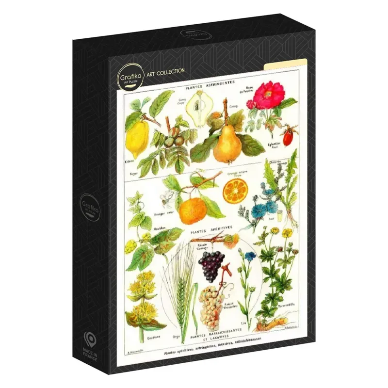 Puzzle Illustration du Larousse Medical Illustré : Plantes Astringentes et Apéritives, 1912 - 1000 pièces van Grafika – doos 2 van 2