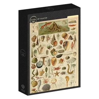 Puzzle Illustration du Larousse pour Tous : Mollusques, XIXè Siècle - 1000 pièces de Grafika – boîte 2 sur 2