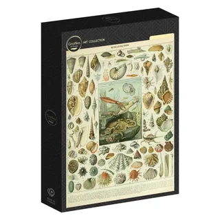 Puzzle Illustration du Nouveau Larousse Illustré : Mollusques, XIXè Siècle - 1000 pièces from Grafika – box 2 of 2