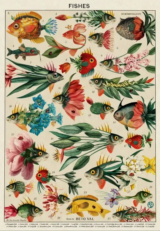 Puzzle Poissons de Grafika – boîte