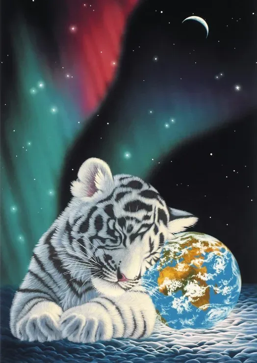 Puzzle Schim Schimmel - Earth Light - 2000 pièces de Grafika – boîte