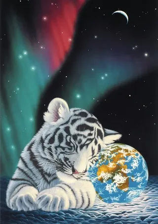 Puzzle Schim Schimmel - Earth Lights - 1500 pièces from Grafika – box 1 of 2