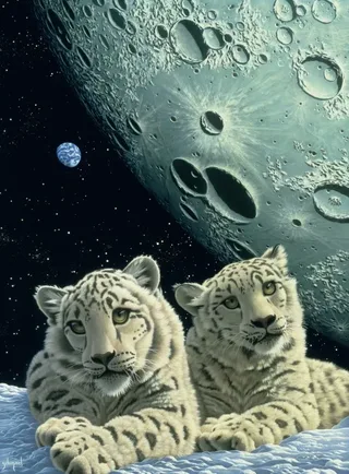 Puzzle Schim Schimmel - Lair of the Snow Leopard - 2000 pièces de Grafika – boîte 1 sur 2