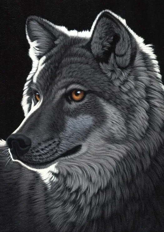 Puzzle Schim Schimmel - Night Wolf - 1000 pièces de Grafika – boîte