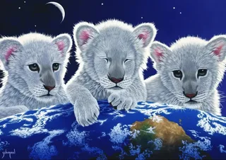 Puzzle Schim Schimmel - Secret, Mystery and Hope - 1500 pièces de Grafika – boîte 1 sur 2