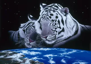 Puzzle Schim Schimmel - Sleep Tight - 1500 pièces de Grafika – boîte 1 sur 2