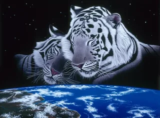 Puzzle Schim Schimmel - Sleep Tight - 2000 pièces van Grafika – doos 1 van 2