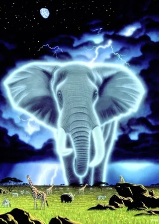 Puzzle Schim Schimmel - Spirit of Africa - 1000 pièces de Grafika – boîte 1 sur 2