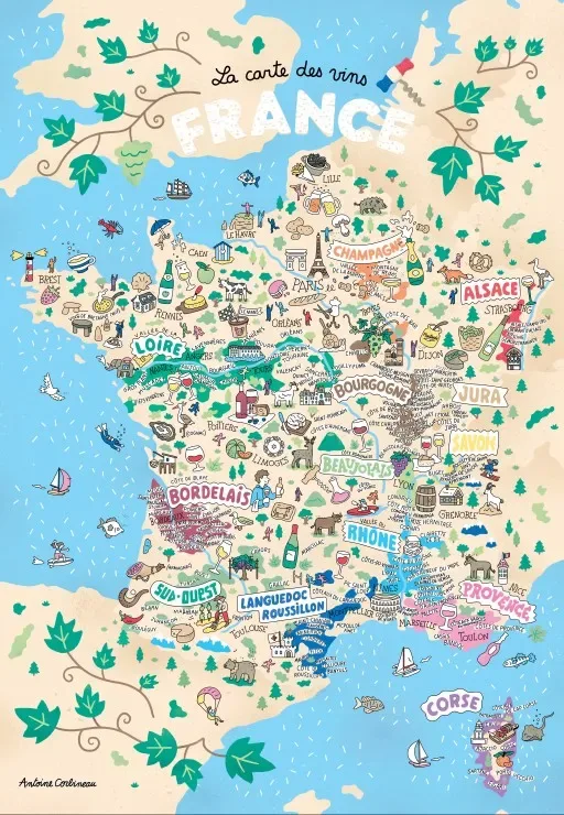Puzzle Vins de France - 1000 pièces de Grafika – boîte 1 sur 2