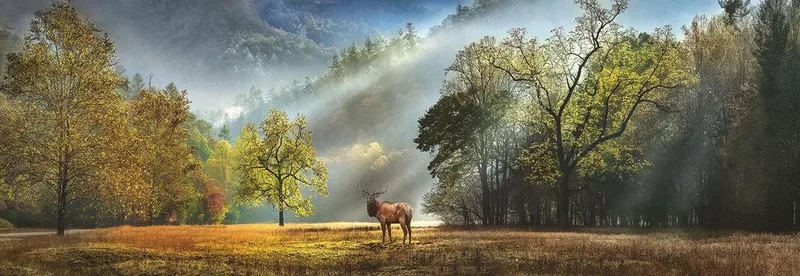 Heye 1000 Stuk Puzzel: Ochtendgloren Landschap from Heye, Multi-coloured edition – box