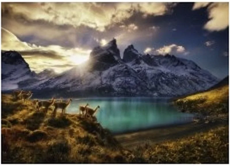 puzzel Guanacos - 1000 stukjes van Heye, editie Meerkleurig – doos