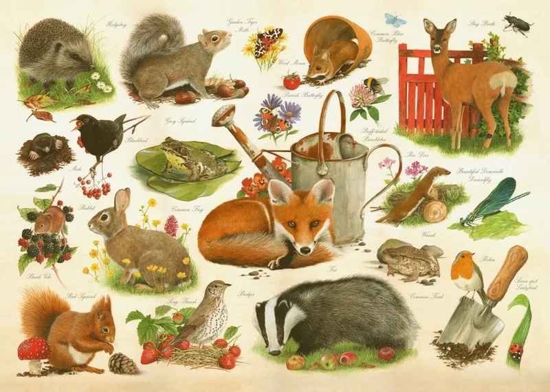 Are You In My Garden - 1000 Piece Jigsaw Puzzle. från House of Puzzles, utgåva Flerfärgad – kartong