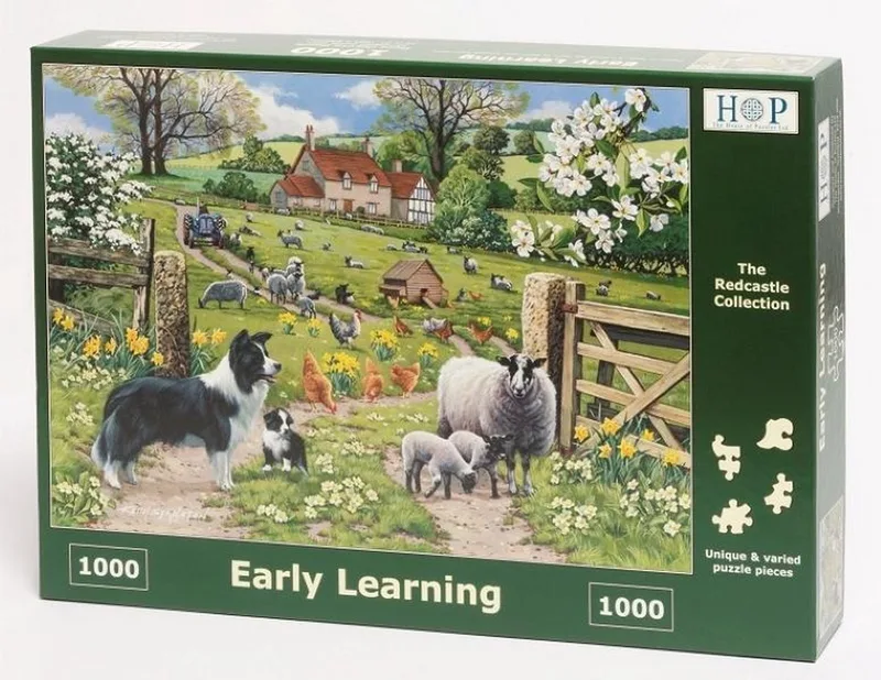 Legpuzzel - 1000 stukjes - Early Learning - House of Puzzels fra House of Puzzles, Flerfarvet-udgave – æske