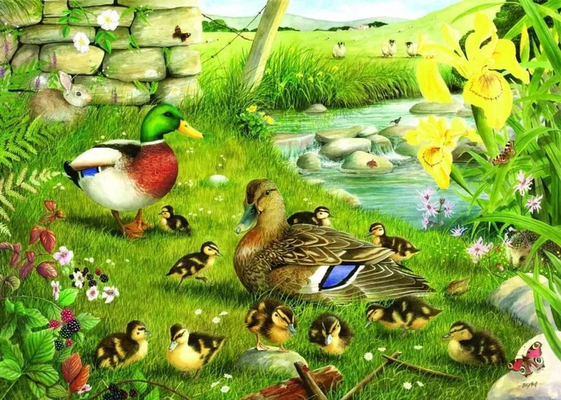 legpuzzel Ducks To Water 500 XL stukjes dieren. fra House of Puzzles, Flerfarvet-udgave – æske