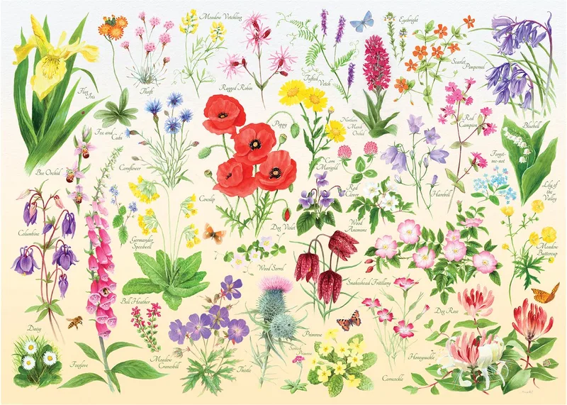 legpuzzel Wildflowers - 1000 stukjes bloemen. fra House of Puzzles, Flerfarvet-udgave – æske
