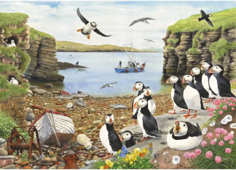 Puffin Parade Puzzel 500 Stukjes XL van House of Puzzles, editie Meerkleurig – doos