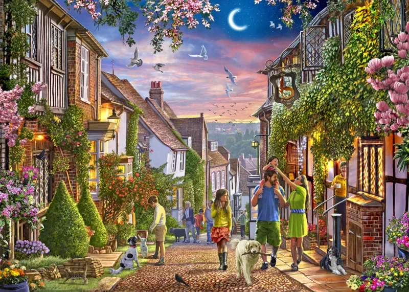 Puzzle Mermaid Street - 1000 pièces from House of Puzzles – box