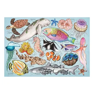 Puzzle Mini Puzzle - Great Barrier Reef - 150 à 199 pièces från House of Puzzles – kartong 2 av 2