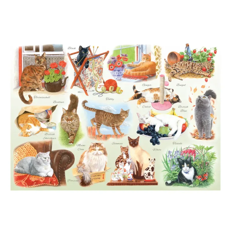 Puzzle Pièces XXL - Chat Va Bien - 500 à 999 pièces van House of Puzzles – doos