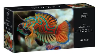 Puzzle Nature Colorée - Mandarinfish - 200 à 499 pièces from Interdruk – box 2 of 2