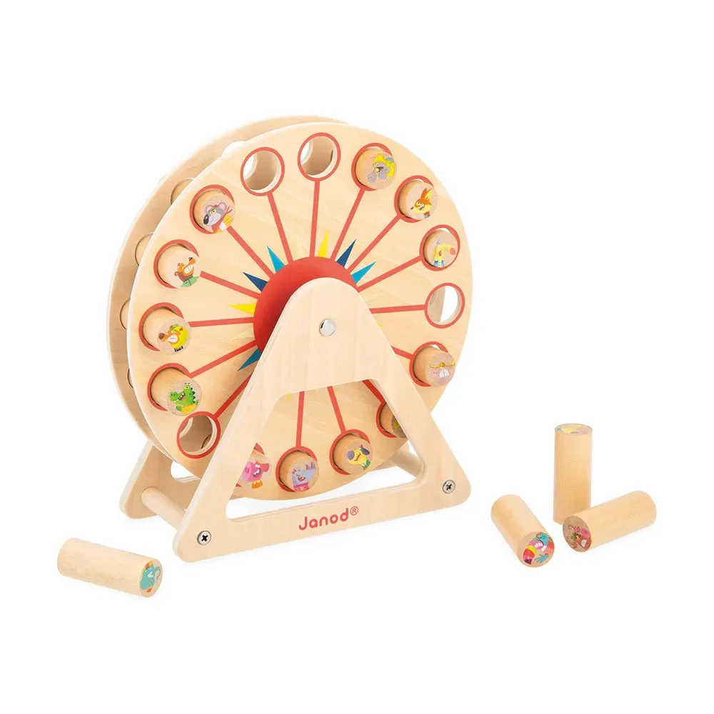 Applepop Groot Gek Ferris Wheel van Janod – doos