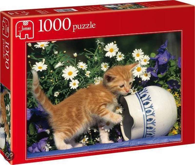 Curious Kitten van Jumbo, editie Meerkleurig – doos