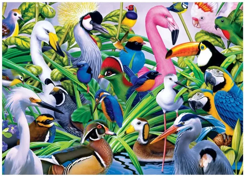 Puzzel Birds 1000 stukjes de Jumbo – boîte