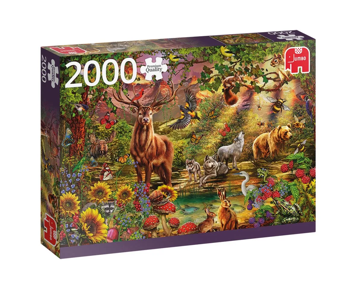 Puzzle Jumbo Spiele, Magischer Wald bei Sonnenuntergang, 2000T Puzzle, 2000 Puzzleteile, Made in Europe de Jumbo, édition Multicolore – boîte
