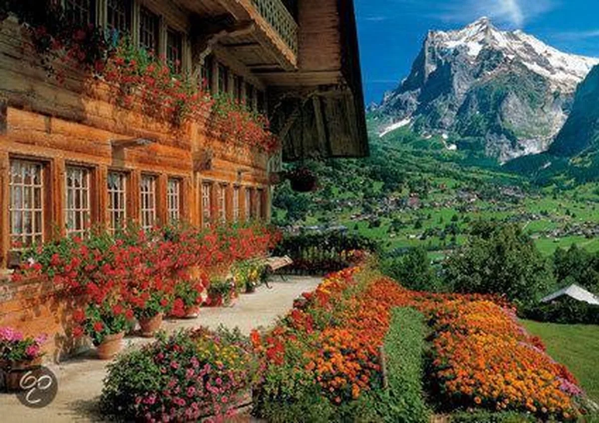 Zwitsers Chalet, Wetterhorn van Jumbo, editie Bruin – doos