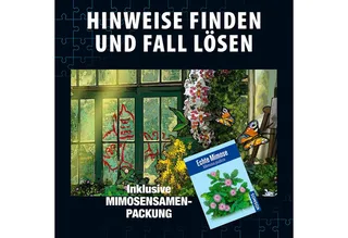 Puzzle Krimipuzzle Die drei ??? Die Blüte des Verderbens, 300 Puzzleteile, Made in Germany van KOSMOS, editie Meerkleurig – doos 3 van 5