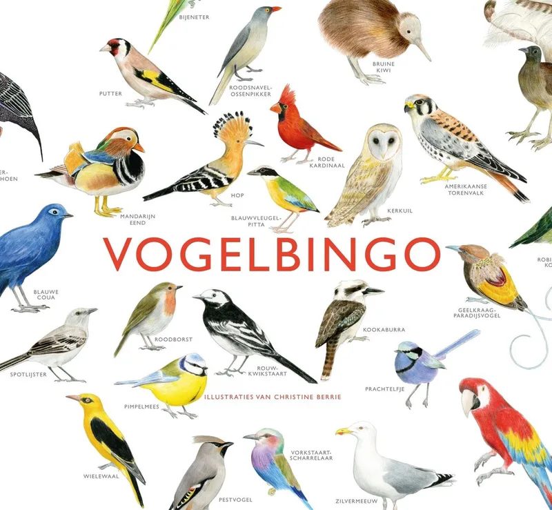 Vogelbingo fra KOSMOS – æske