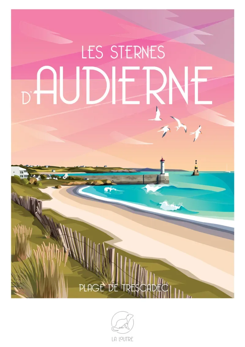 Puzzle Les sternes d'AUDIERNE Plage de trescadec - 1000 pièces from La Loutre – box 1 of 2