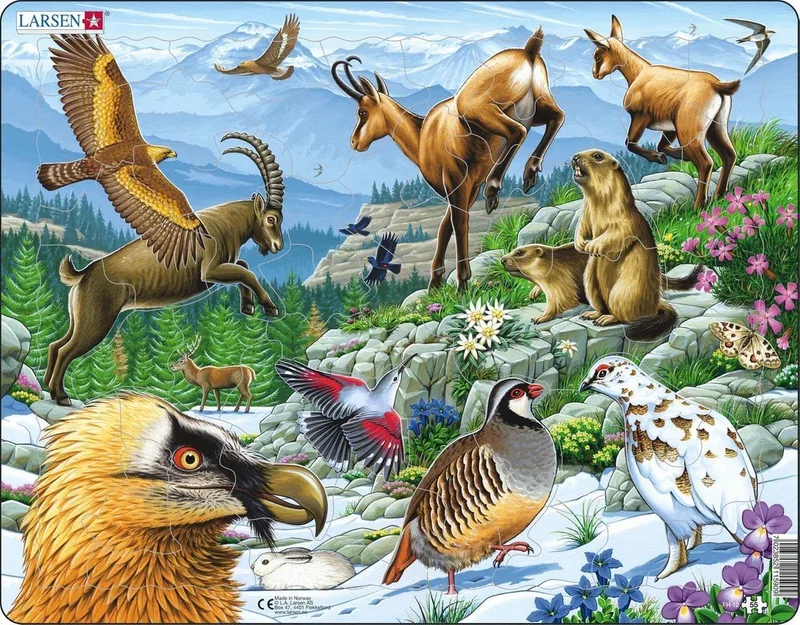 Alpen – Puzzel – Dieren – Europa – Educatieve legpuzzel voor kinderen – 55 stukjes – Gemaakt in Noorwegen – Extra dikke 2,5 mm stukjes – Tray met vaste rand van Larsen, editie 55 Stukjes – Alpen – doos